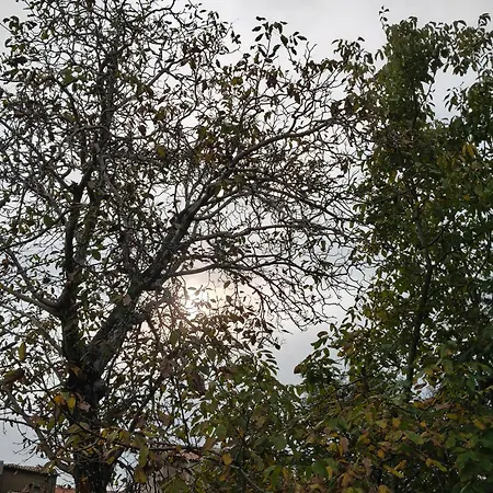 La Casetta Nel Borgo לינה וארוחת בוקר *