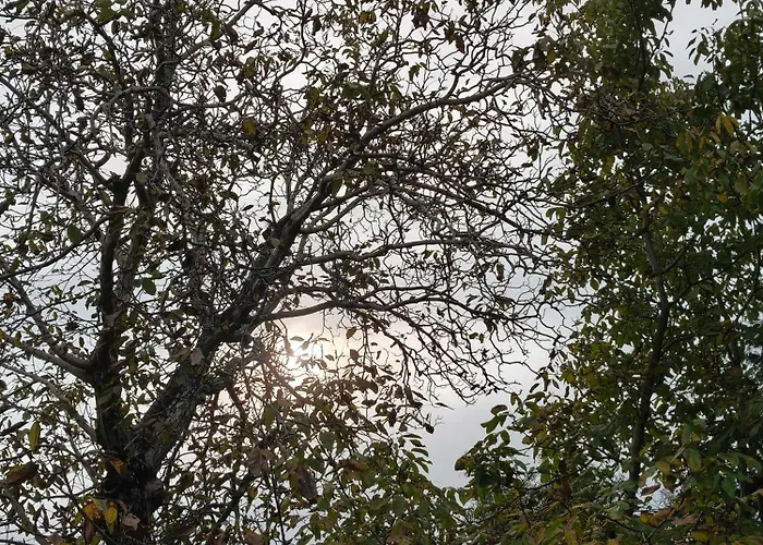 La Casetta Nel Borgo לינה וארוחת בוקר *